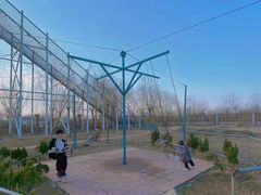 -凤凰欢乐大世界