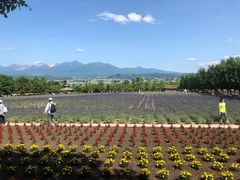 -富田农场
