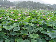 -韶山毛泽东同志故居