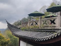 -韬光茶庵