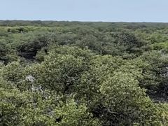 -北海金海湾红树林生态旅游区