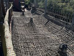 -呀路古热带植物园