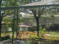 -石家庄市动物园