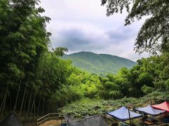 -宁波浙东大竹海景区