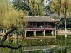 -桂湖森林公园