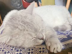 -不舍昼夜咖啡馆