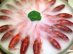 经典冰镇龙虾-红盔甲·小龙虾(天钥桥店)
