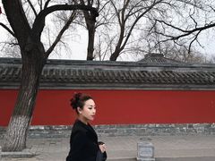 -北京国子监胡同