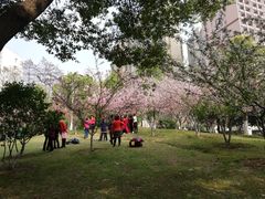 -堤角公园