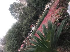 -咸宁站