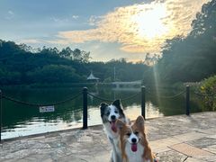 -南国桃园旅游度假区