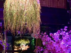 -胡桃里乐队酒馆(鎏嘉码头店)