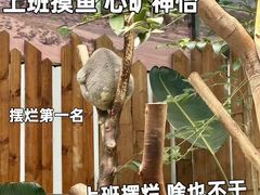 -红山森林动物园