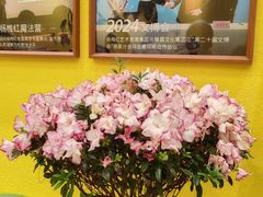 -杨梅红艺术教育(万象城教学中心)