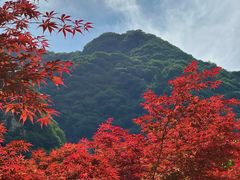 -华山风景名胜区