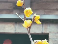 -回龙窝历史文化街区