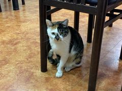 -新梅居(宁海东路店)