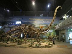 -自贡恐龙博物馆