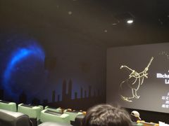 -新影联·华谊兄弟影院(望京店)