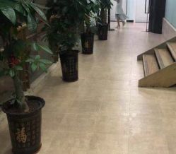 点击看大图 -痘博士广州·全国连锁祛痘机构