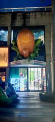 -尼克Playtime(欢乐海岸店)