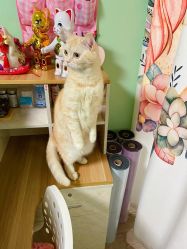 -齐伽生活馆·瑜伽·普拉提·阿育吠陀