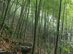 -藏龙百瀑风景区