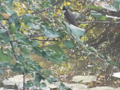 -白沙门生态公园