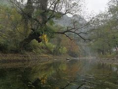 -水墨汀溪风景区