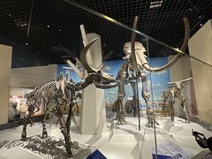 -国家自然博物馆