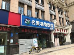 -瑞派名望24h动物医院异宠专科·猫专科·骨科·重症监护分院