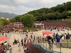 -牛岗山公园