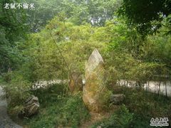 -西安市长乐公园