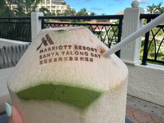 -大堂酒廊·亚龙湾万豪度假酒店