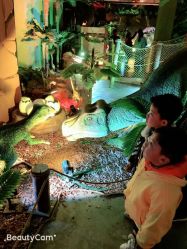 点击看大图 -恐龙探索乐园(磁器口店)