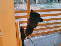 -美家乐农庄·露营·团建(大治路店)