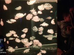 -多彩贵州城极地海洋世界