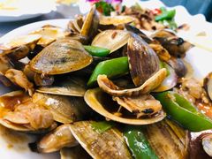 -澳门环岛游湾仔码头