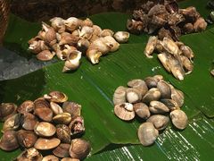 -马哥孛罗咖啡厅·Cafe Marco (厦门马哥孛罗东方大酒店)