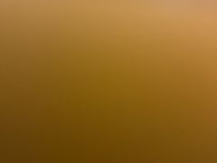 -鸿顺老铁锅美蛙鱼府(解放碑店)