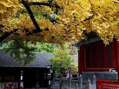 -红螺寺