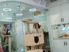 门面-喵园·猫主题咖啡厅·撸猫·猫咖(国贸店)