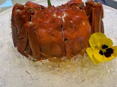 -东方山水金沙酒店-雅香阁中餐厅