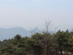 -鲁山国家森林公园