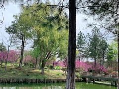 -江南大学(蠡湖校区)