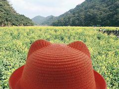 -广州市石门国家森林公园