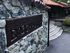 -谢列梅捷沃国际机场