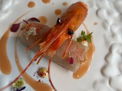 -九献创意菜·新中式(亮马河花园私宴店)