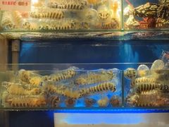 -喜记避风塘炒辣蟹(总店)