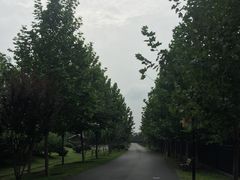 -永定河休闲森林公园